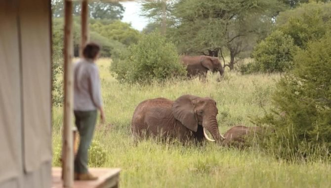 WhatsApp Image 2025-03-04 at 21.47.23_9f62f00f